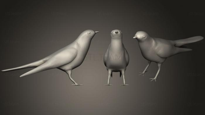 3D model Cuckoo (STL)
